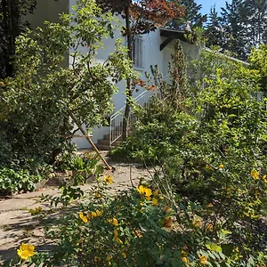 https://villa-maison-spacieuse-et-lumineuse-4-personnes.midi-pyreneeshotels.com